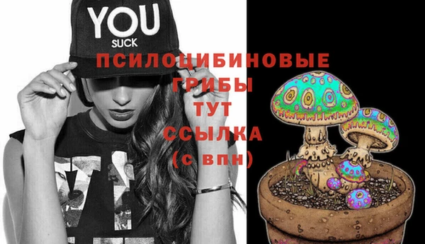 молекула духа Михайловск