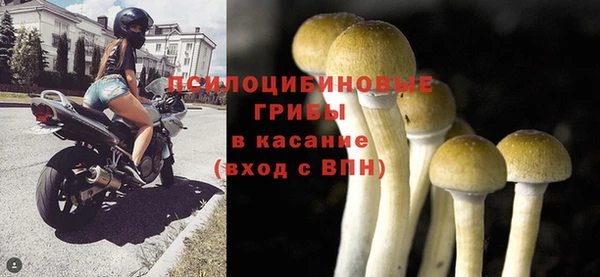 прущий лед Мегион
