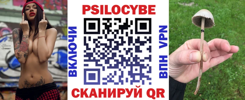 Галлюциногенные грибы Cubensis  продажа наркотиков  Полевской 