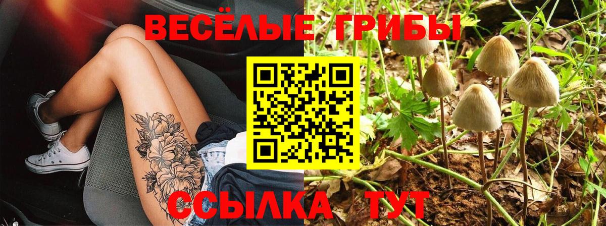 Псилоцибиновые грибы Psilocybine cubensis  Галлюциногенные грибы Psilocybe  Вход с VPN  как найти   Полевской 